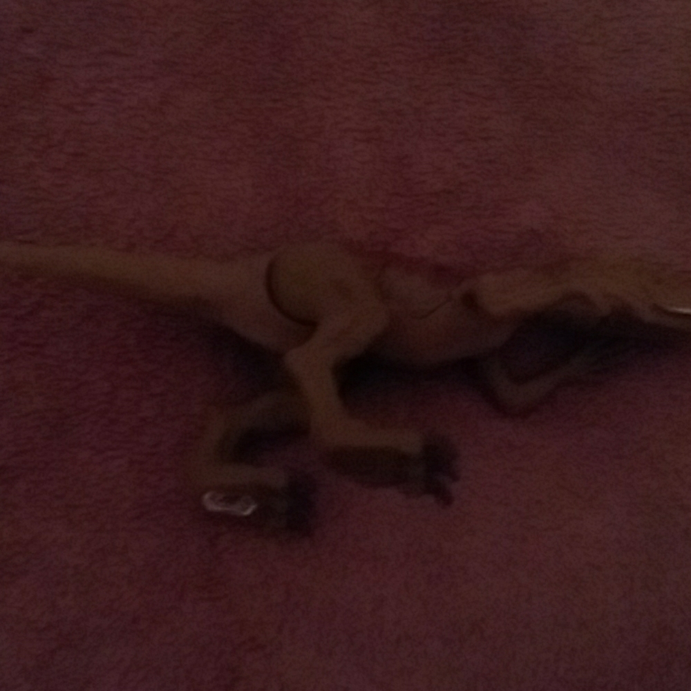 Dinosaur